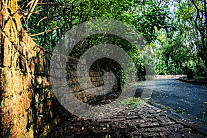 Acclimatization park sÃ£o paulo Brazil Â  wall and bricks asphalt